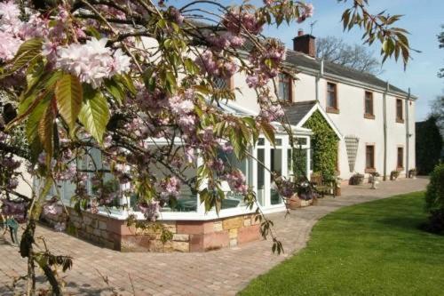 קרליסל Bessiestown Country Guesthouse מראה חיצוני תמונה