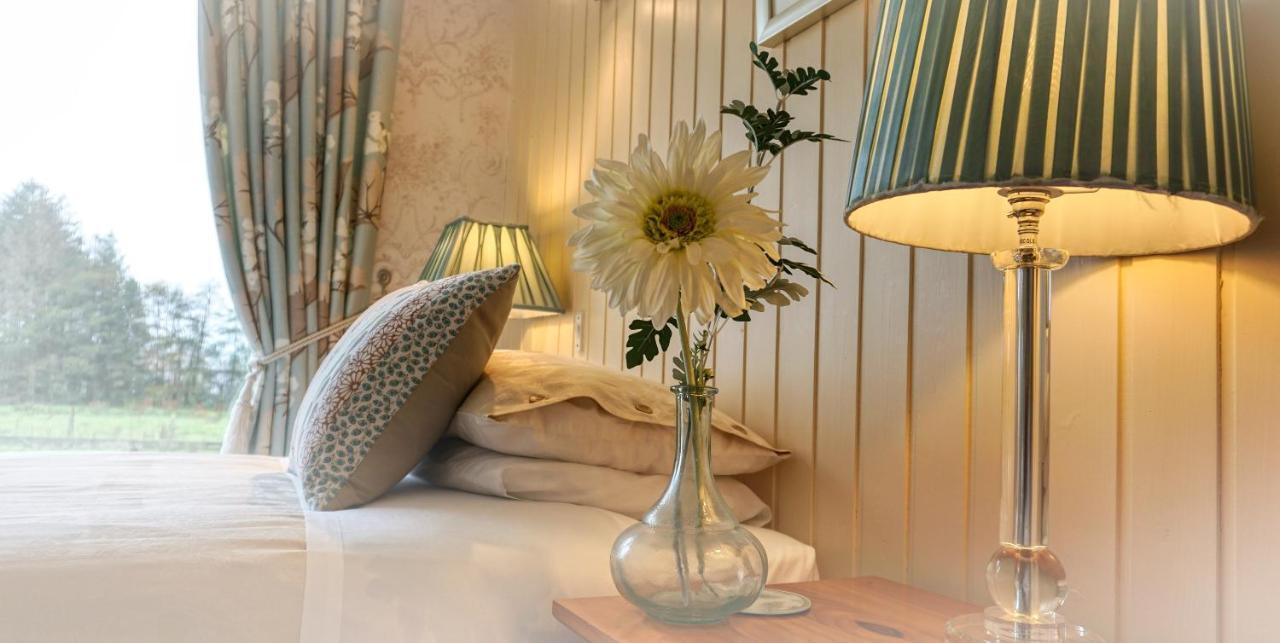 קרליסל Bessiestown Country Guesthouse מראה חיצוני תמונה